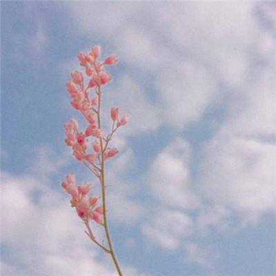 x8大师下载安装最新版